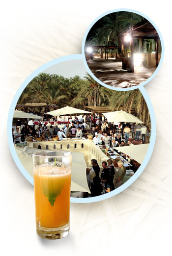 Eden Palm offre le parcours de base suivant: